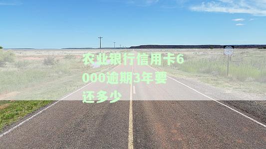 农业银行信用卡6000逾期3年要还多少钱