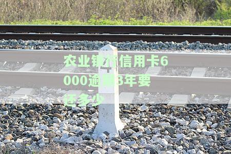 农业银行信用卡6000逾期3年要还多少本金和利息