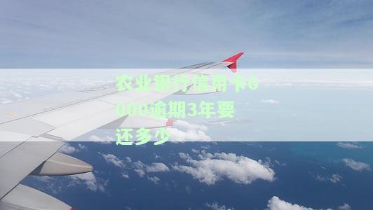 农业银行信用卡8000逾期情况及利息分析