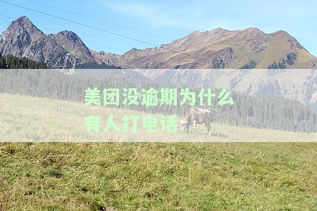 美团没逾期为什么有人打电话