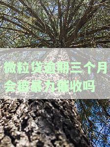 微粒贷逾期三个月催收最狠，会被暴力催收、起诉吗？