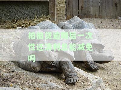 拍拍贷逾期后一次性还清利息能减免吗？安全吗？如何一次性还清？