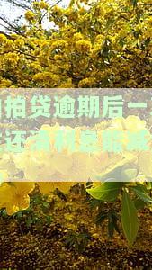 拍拍贷逾期后一次性还清利息能减免吗