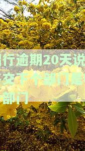 招商逾期几天会打电话给紧急电话，家人及催收