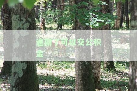 有逾期能用住房公积金贷款吗？