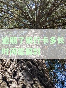 逾期了银行卡多长时间能解封啊，怎么办？