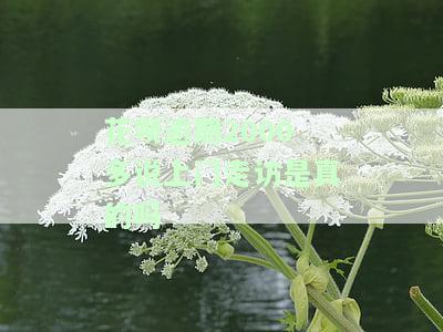 花呗逾期九千多,说要安排当地工作人员上门，真的吗？