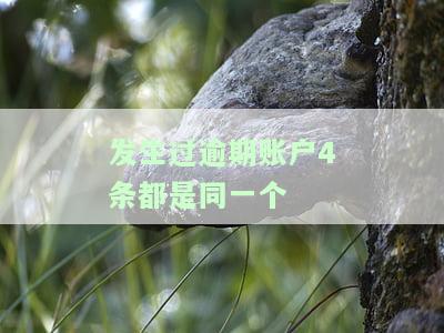 发生过逾期的账户数2,但是我没有逾期
