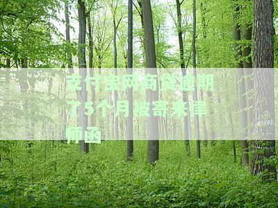 支付宝网商贷逾期5个月被寄来律师函是真的吗？