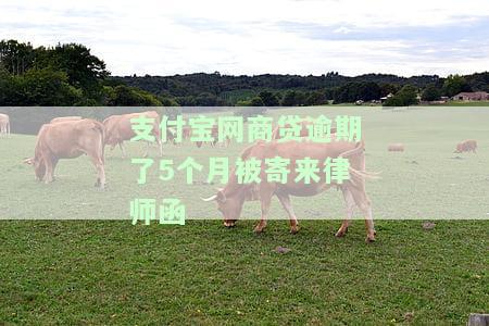 支付宝网商贷逾期三个月了,说要邮寄律师函是真的吗，发了律师函会被起诉吗，欠款逾期3个多月说上门，逾期说寄律师函后需要做什么？