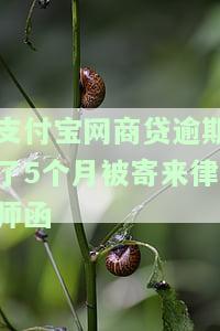 网商贷逾期4个月了打电话说寄律师函，怎么办？