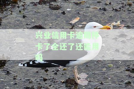 兴业银行停止信用卡业务及申请处理