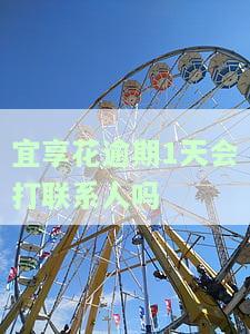 宜享花逾期一天还能借款吗及处理方法