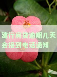 建设银行房贷逾期几天会进入征信系统吗？逾期怎么办？