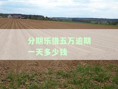 分期乐欠了5万可以协商还款本金吗，后果会怎样？