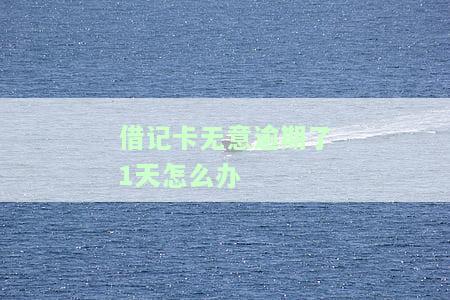 借记卡无意逾期了1天怎么办理还款及信用卡逾期会有什么影响？