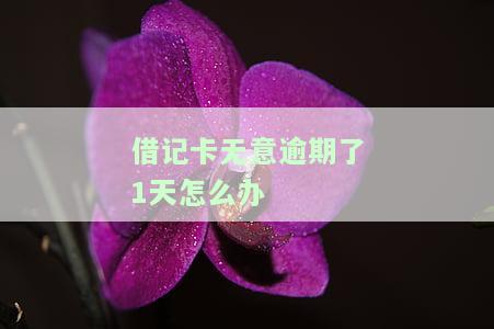 借记卡逾期一天对征信有影响吗怎么办？