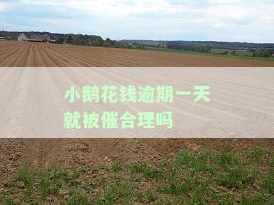 小鹅花钱逾期一天上征信吗？