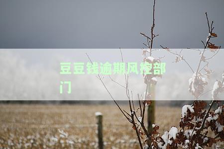 豆豆钱逾期8天，电话要解约