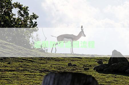 逾期款追回流程会立即生效吗？逾期追偿的意思是什么？