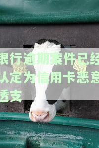因信用卡恶意透支一案,司法机关已申请拘捕令-信用卡恶意透支判刑案例