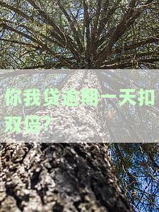 你我贷逾期两天会要求一次性还完尾款吗，并且还能再借款吗？