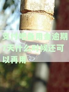 支付宝备用金逾期八天还能取出来吗安全吗？