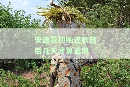 安逸花到了还款日扣款时间及宽限期说明