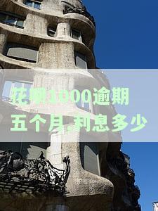 花呗逾期1000块4个月会列入征信黑名单吗？如何应对？