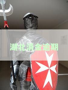 湖北消金逾期一天会怎样处理