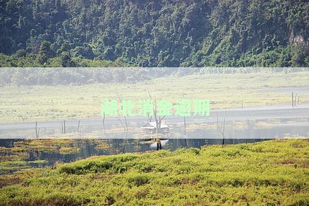 湖北消金逾期一天会怎样，湖北消金逾期一天上征信吗，湖北消金逾期一天怎么办