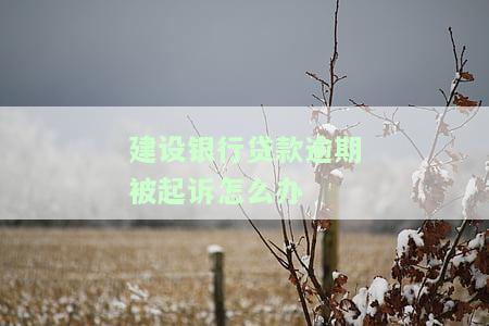 建设银行贷款逾期被起诉如何办理还款期手续？