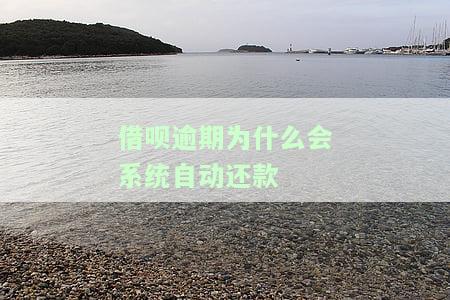 借呗逾期了自动扣了能不能协商