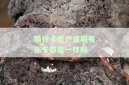 银行卡逾期还款后能用吗？