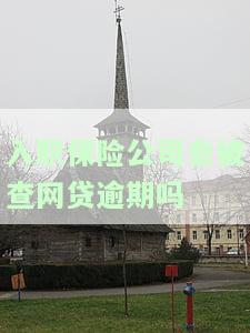 保险公司入职会查征信吗？