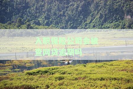在保险公司入职是否影响公务员的考虑因素及影响分析