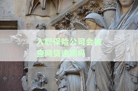 入职保险公司会被查网贷逾期吗