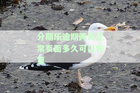 分期乐逾期二天后还款会不会影响使用及征信情况