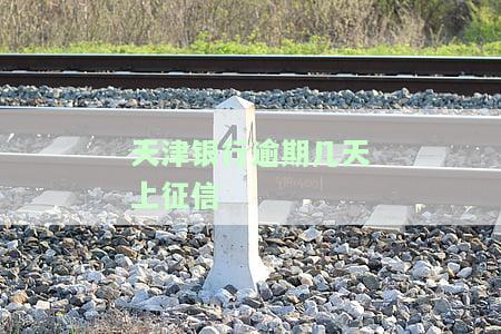 天津银行征信上报时间