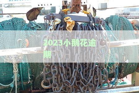 小鹅花逾期不还的网友评论及公司电话联系