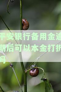 平安备用金逾期4天还款后多久能正常使用及相关规定