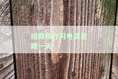 招商银行闪电贷逾期一天会不会上征信记录及报告？