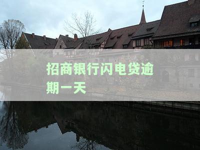 招商银行闪电贷逾期还款会影响征信吗？怎么办？