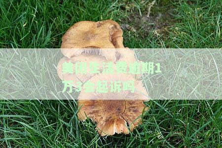 美团生活费逾期一个星期会不会被告上法庭