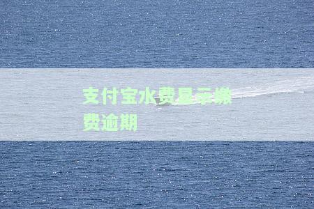 支付宝水费显示缴费逾期怎么办理