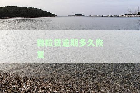 微粒贷逾期多久恢复信用额度及重新使用