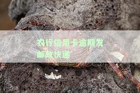 农行信用卡逾期发邮政快递