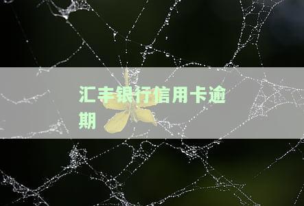 汇丰银行信用卡逾期一天有影响吗？怎么办？