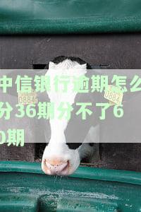 中信逾期一年，现想分期还款，可行吗？