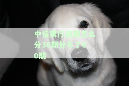 中信银行分期36期算高利息吗？手续费多少？